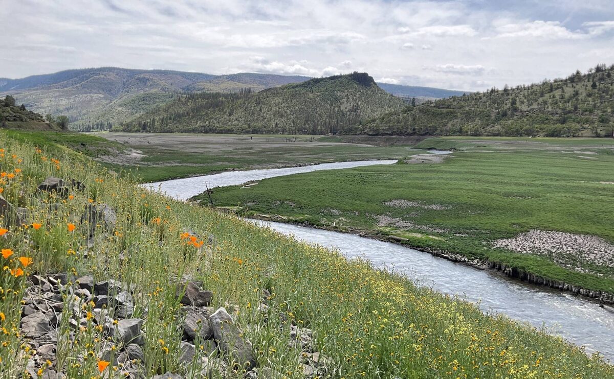 The restored Klamath River reach within the former Copco Reservoir footprint